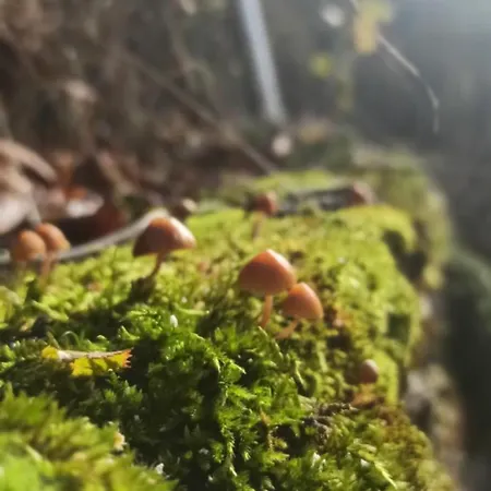 Casa Manuel Y Ana María. Сasa de vacaciones *