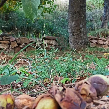 Casa Manuel Y Ana María. Сasa de vacaciones Llombera