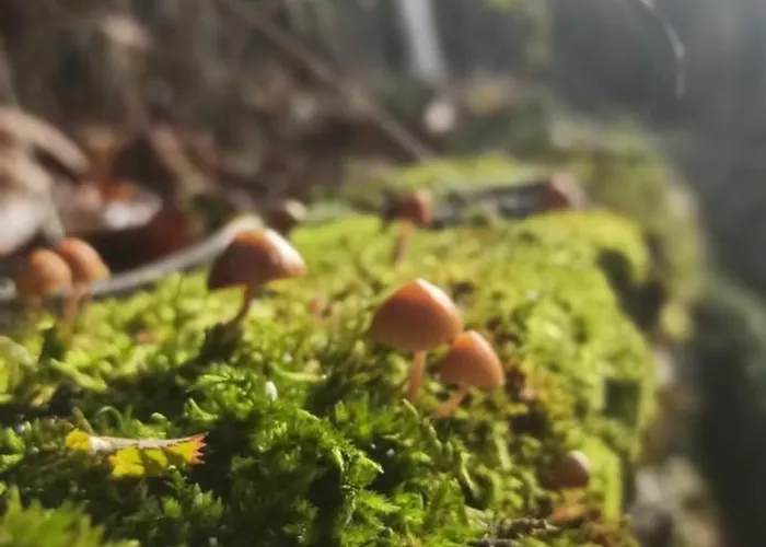 Casa Manuel Y Ana Maria. Nyaraló *