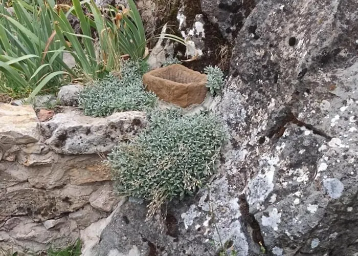 Casa Manuel Y Ana Maria. Nyaraló