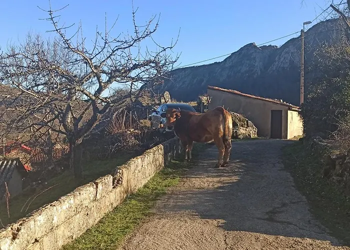 Casa Manuel Y Ana Maria. Nyaraló